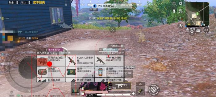 和平精英火焰鸟直装下载 - 快速部署型外挂工具